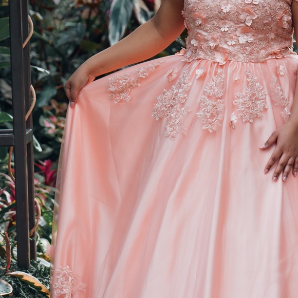 Quinceañera Dress- Formal gown-Blush Pink-PETTICOAT INCLUDED - Picture 6 of 7